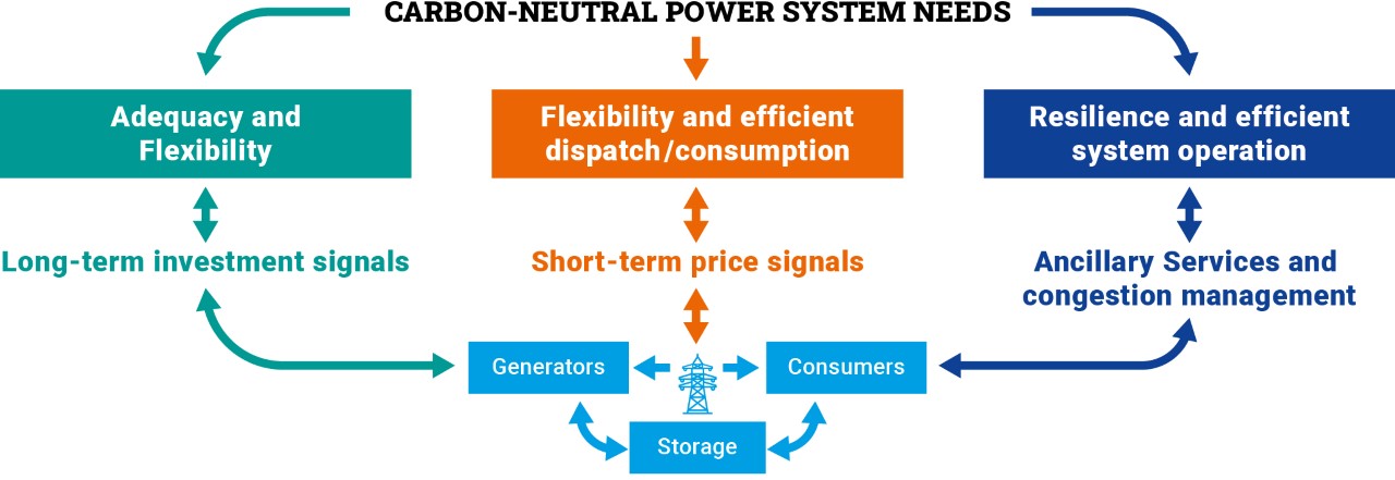 Market Design for a Carbon Neutral Power System